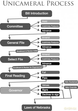 Nebraska Government and Politics (Politics and Governments of the American States) - Robert Blair [KSIĄŻKA]