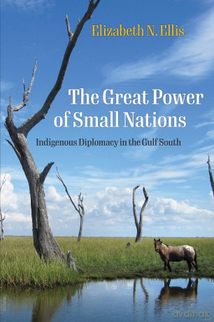 The Great Power of Small Nations: Indigenous Diplomacy in the Gulf South (Early American Studies) - Elizabeth N. Ellis [KSIĄŻKA]