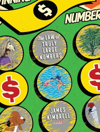The Law of Truly Large Numbers: Poems (Pitt Poetry) - James Kimbrell [KSIĄŻKA]