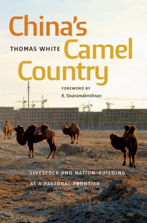 China's Camel Country: Livestock and Nation-Building at a Pastoral Frontier (Culture, Place, and Nature) - Thomas White [KSIĄŻKA]