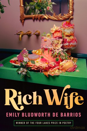 Rich Wife (Wisconsin Poetry Series) - Emily Bludworth de Barrios [KSIĄŻKA]