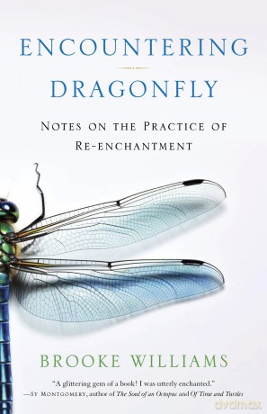 Encountering Dragonfly: Notes on the Practice of Re-enchantment - Brooke Williams [KSIĄŻKA]