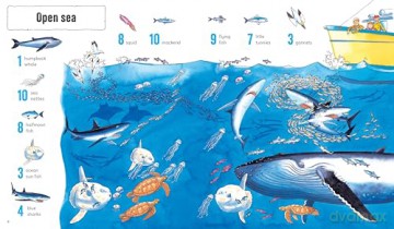 1001 Things to Spot in the Sea - Katie Daynes [KSIĄŻKA]