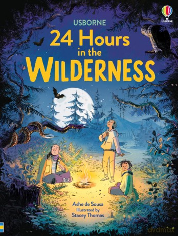 24 Hours in the Wilderness - Ashe de Sousa [KSIĄŻKA]