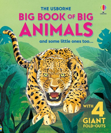 Big Book of Big Animals (Big Books) - Hazel Maskell [KSIĄŻKA]
