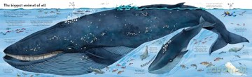 Big Book of Big Animals (Big Books) - Hazel Maskell [KSIĄŻKA]
