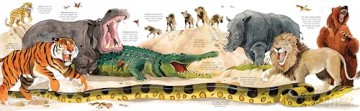 Big Book of Big Animals (Big Books) - Hazel Maskell [KSIĄŻKA]