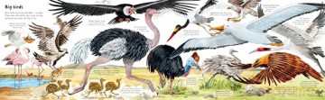 Big Book of Big Animals (Big Books) - Hazel Maskell [KSIĄŻKA]