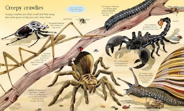 Big Book of Big Animals (Big Books) - Hazel Maskell [KSIĄŻKA]