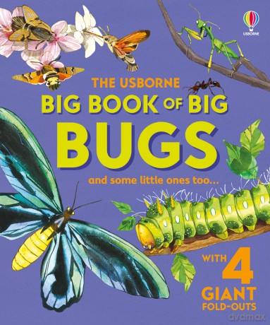Big Book of Big Bugs (Big Books) - Emily Bone [KSIĄŻKA]