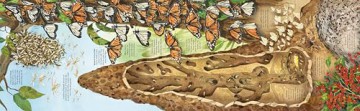 Big Book of Big Bugs (Big Books) - Emily Bone [KSIĄŻKA]