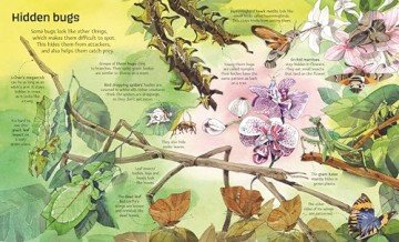 Big Book of Big Bugs (Big Books) - Emily Bone [KSIĄŻKA]