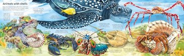 Big Book of Big Sea Creatures (Big Books) - Minna Lacey [KSIĄŻKA]