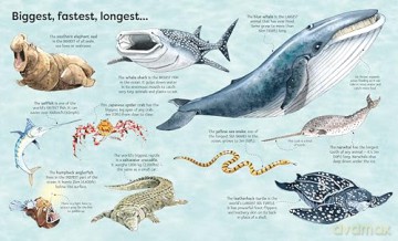 Big Book of Big Sea Creatures (Big Books) - Minna Lacey [KSIĄŻKA]
