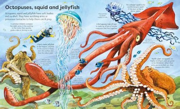 Big Book of Big Sea Creatures (Big Books) - Minna Lacey [KSIĄŻKA]