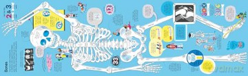 Big Book of The Body (Big Books) - Minna Lacey [KSIĄŻKA]