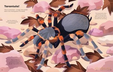 Big Sticker Book Bugs (Big Sticker Books) - Alice James [KSIĄŻKA]