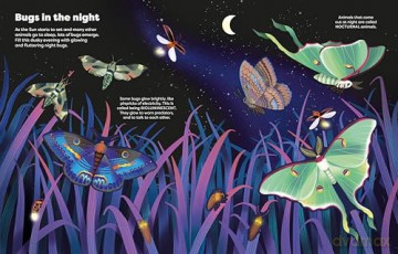 Big Sticker Book Bugs (Big Sticker Books) - Alice James [KSIĄŻKA]