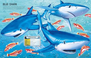 Build Your Own Sharks: Learn about Sharks and Other Marine Creatures through Stickers in a Fun and Interactive Way (Build Your Own Sticker Book) - Sam Smith [KSIĄŻKA]