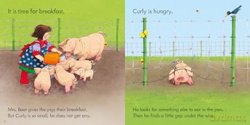 Complete Book of Farmyard Tales (Farmyard Tales Poppy and Sam) - Heather Amery [KSIĄŻKA]