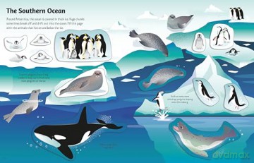 First Sticker Book Oceans (First Sticker Books) - Alice Beecham [KSIĄŻKA]
