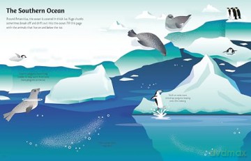 First Sticker Book Oceans (First Sticker Books) - Alice Beecham [KSIĄŻKA]