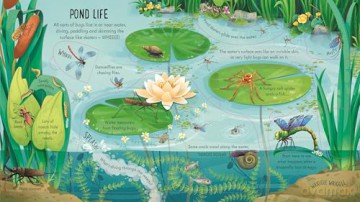 Look Inside Bug World - Minna Lacey [KSIĄŻKA]