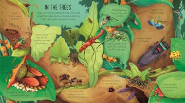 Look Inside Bug World - Minna Lacey [KSIĄŻKA]
