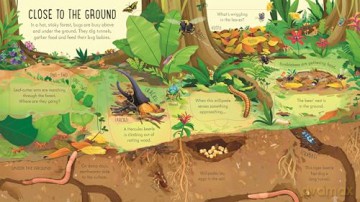 Look Inside Bug World - Minna Lacey [KSIĄŻKA]