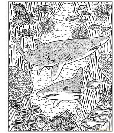 Sharks Magic Painting Book: Explore the Depths of the Ocean with Sharks in this Innovative Book for Kids (Magic Painting Books) - Sam Baer [KSIĄŻKA]