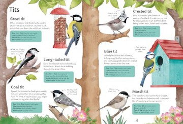 Spotter's Guides: Birds - Simon Tudhope [KSIĄŻKA]