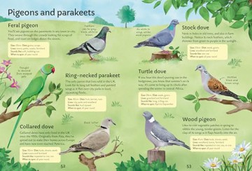 Spotter's Guides: Birds - Simon Tudhope [KSIĄŻKA]