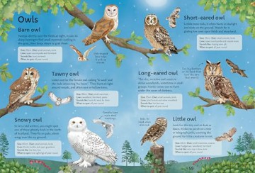 Spotter's Guides: Birds - Simon Tudhope [KSIĄŻKA]