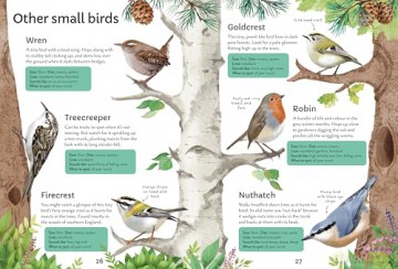 Spotter's Guides: Birds - Simon Tudhope [KSIĄŻKA]
