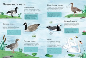 Spotter's Guides: Birds - Simon Tudhope [KSIĄŻKA]