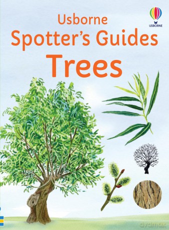 Spotter's Guides: Trees - Sarah Russell [KSIĄŻKA]