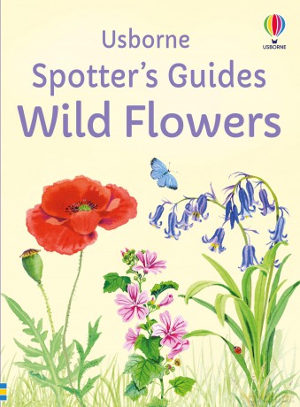 Spotter's Guides: Wild Flowers - Sarah Russell [KSIĄŻKA]