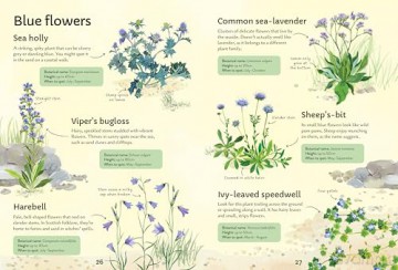 Spotter's Guides: Wild Flowers - Sarah Russell [KSIĄŻKA]