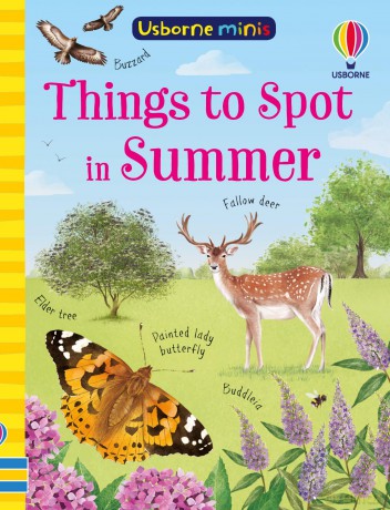 Things to Spot in Summer (Usborne Minis) - Kate Nolan [KSIĄŻKA]