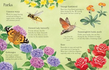 Things to Spot in Summer (Usborne Minis) - Kate Nolan [KSIĄŻKA]
