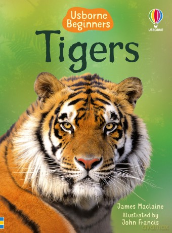 Tigers (Beginners) - James Maclaine [KSIĄŻKA]