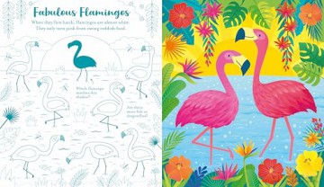 Usborne Scratch Activities Animals - Rosie Dickins [KSIĄŻKA]