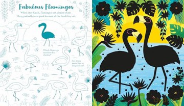 Usborne Scratch Activities Animals - Rosie Dickins [KSIĄŻKA]