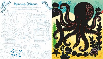 Usborne Scratch Activities Under the Sea: Explore an Underwater World of Colourful Creatures in this children's book full of Interactive Designs and Puzzles - Rosie Dickins [KSIĄŻKA]