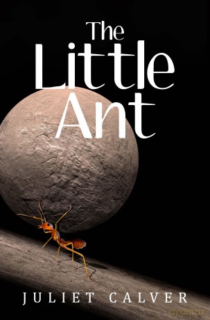 The Little Ant - Juliet Calver [KSIĄŻKA]