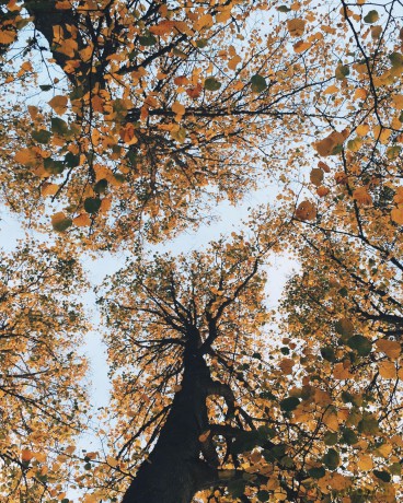 Retreat Yourself: How to create a truly transformative self-led retreat - Joey Hulin [KSIĄŻKA]