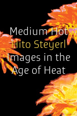 Medium Hot: Images in The Age of Heat - Hito Steyerl [KSIĄŻKA]