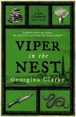 Viper In The Nest (A Lizzie Hardwicke Novel) - Georgina Clarke [KSIĄŻKA]