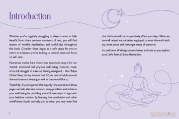 The Little Book of Sleep Meditations: Mindfulness Exercises to Help You Sleep - Annie Fay Meitchik [KSIĄŻKA]