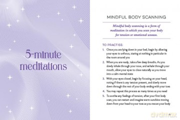 The Little Book of Sleep Meditations: Mindfulness Exercises to Help You Sleep - Annie Fay Meitchik [KSIĄŻKA]